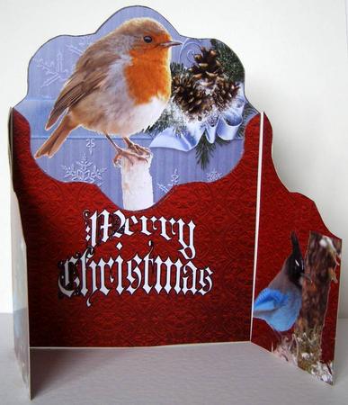 Fancy Gatefold Christmas Birds by Margaret McCartney