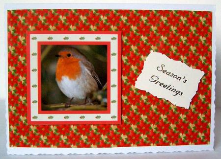 Red Poinsettia Horizontal on Gold Bg by Margaret McCartney