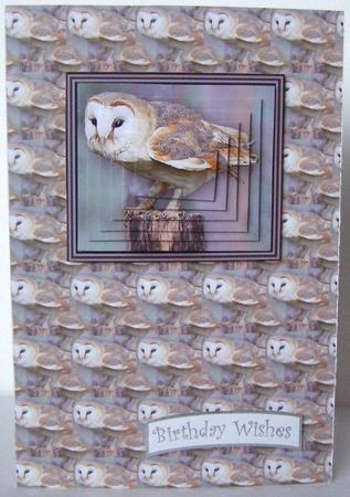 Barn Owl Pyramid with Background Sheet by Margaret McCartney