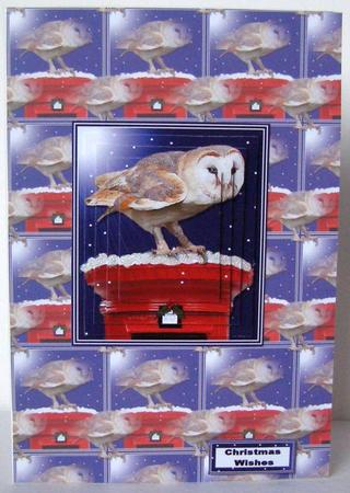 Barn Owl Christmas Post Box & Background Pyramid by Margaret McCartney