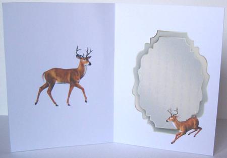 The Buck by Margaret McCartney