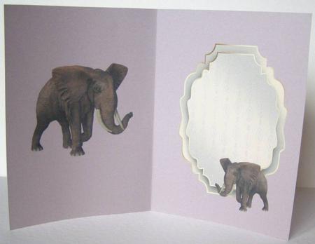 Elephant by Margaret McCartney