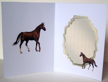 Horse by Margaret McCartney