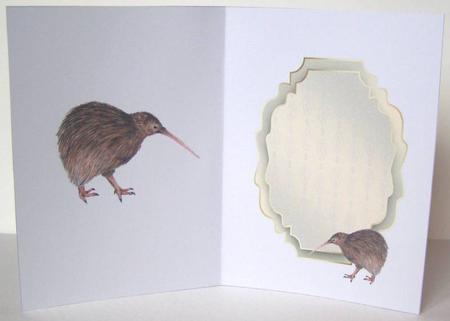 Kiwi Insert by Margaret McCartney
