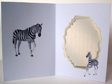 Zebra by Margaret McCartney