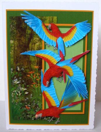 Scarlet Macaws by Margaret McCartney
