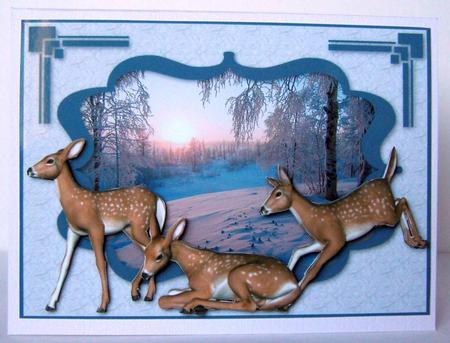 Winter Fawn by Margaret McCartney