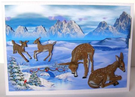 Deers in the Snow by Margaret McCartney