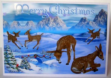 Deers Playing in the Snow A4 by Margaret McCartney