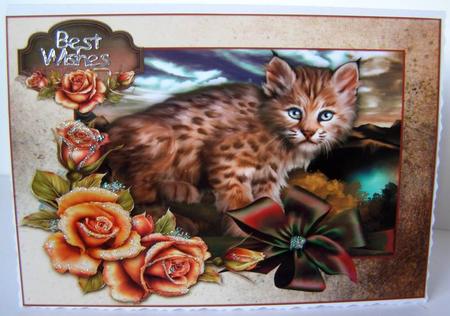 Little Bob A4 by Margaret McCartney