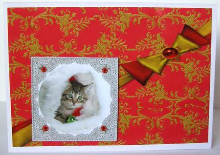 Regal Red Background Paper by Margaret McCartney