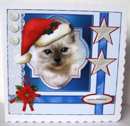Little Pete's Christmas by Margaret McCartney