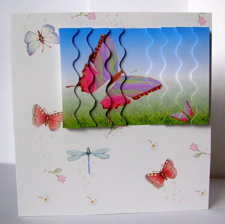 Butterfly Meadow by Margaret McCartney