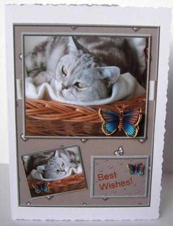Get Well Soon Wishes from Lady -  by Margaret McCartney