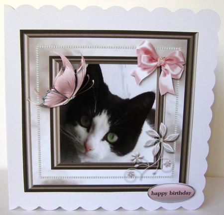 Lady and Lizzy Happy Birthday Cats by Margaret McCartney