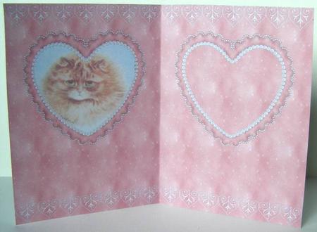 Oh Meee-ow! Another Birthday? Insert by Margaret McCartney