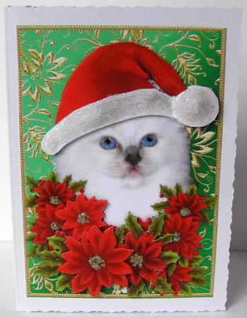 Santa Birman Kitty Cat and Decoupage Poinsettia Flowers 1 by Margaret McCartney