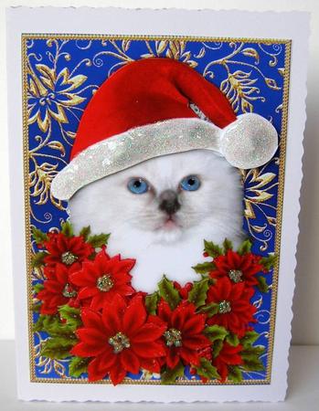 Santa Birman Kitty Cat and Decoupage Poinsettia Flowers 2 by Margaret McCartney