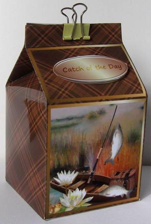 Milk Carton Gift Box - Catch of the Day by Margaret McCartney