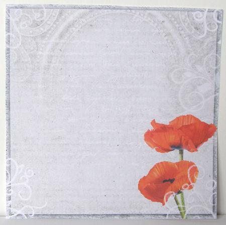 Poppy Duo Insert 8x8inch by Margaret McCartney