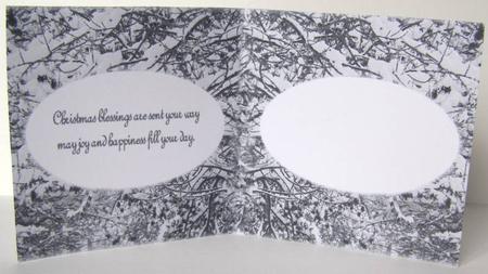 Wintry Trees by Margaret McCartney