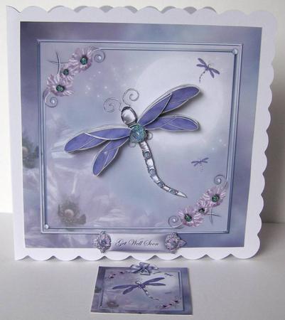 Luna Dragonfly by Margaret McCartney