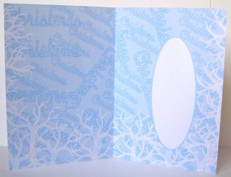 Polar Friends Insert by Margaret McCartney