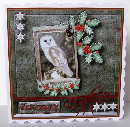 Snowy Owl by Margaret McCartney