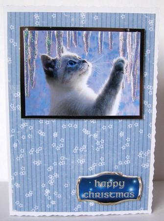 Stars on a Blue Striped Background by Margaret McCartney