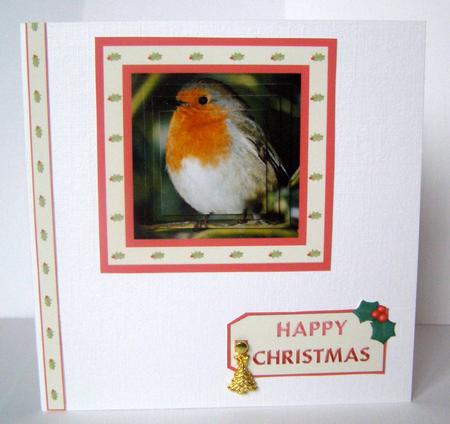 Christmas Robin Pyramid Sheet by Margaret McCartney