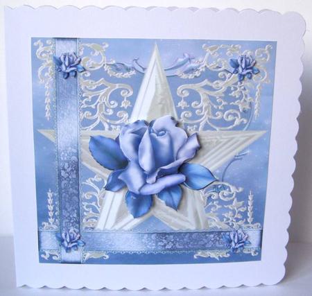 Winter Roses by Margaret McCartney