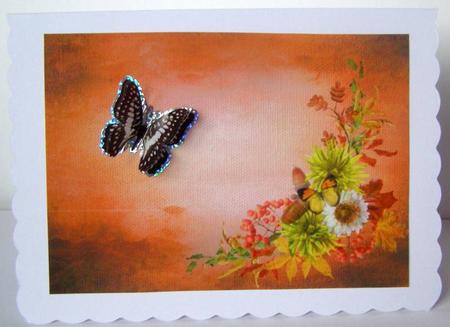 Autumninal Hues by Margaret McCartney