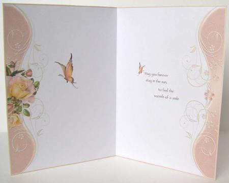 Warmth of a Smile Insert by Margaret McCartney