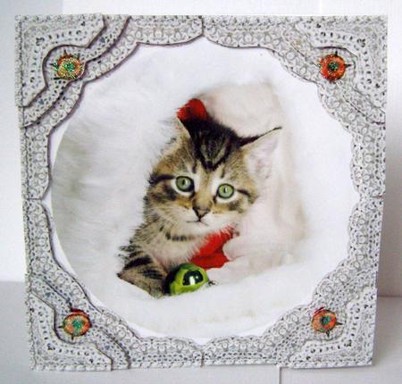 Christmas Kitten - Can I Help? by Margaret McCartney