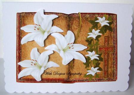 Book Sympathy Lilies by Margaret McCartney