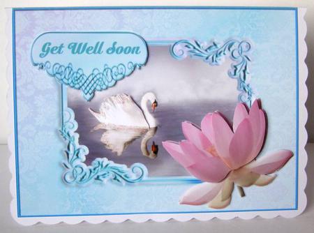 Swan and Waterlily Any Occasion Card by Margaret McCartney