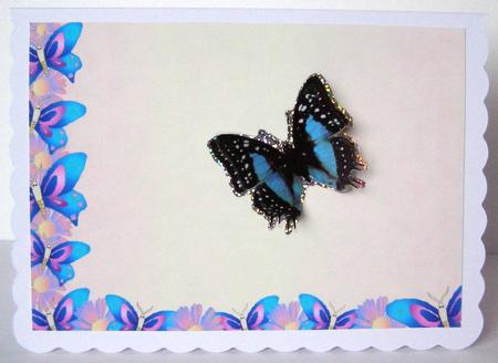 Purple and Blue Floral Butterfly Backing Sheet by Margaret McCartney