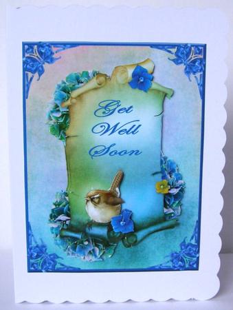 Bird on Scroll, Get Well Soon by Margaret McCartney