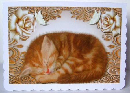 Cute Ginger Kitten in Gold Frame A4 by Margaret McCartney