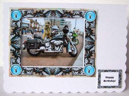 Harley Davidson Meerkat Motorbike Stunt Rider Card Topper by Margaret McCartney