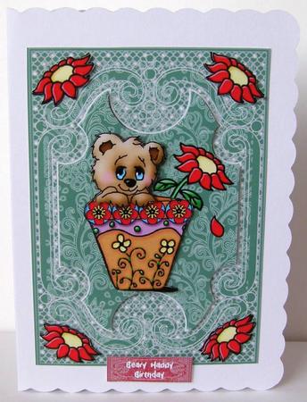 Beary Happy Birthday Featured Gallery Photo