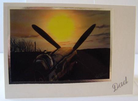 Twightlight Spitfire by Margaret McCartney