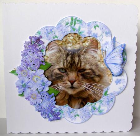 Blue Lilac and Butterflies Frame by Margaret McCartney