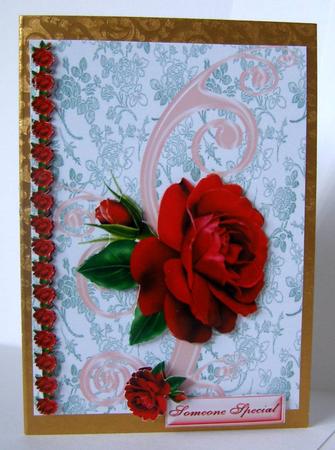 Gorgeous Big Red Rose by Margaret McCartney