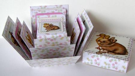 Exploding Box - Ducklings and Rabbit by Margaret McCartney