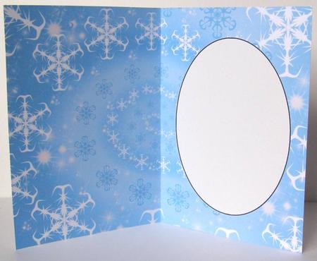 Light Blue Snowflake Insert 1 by Margaret McCartney