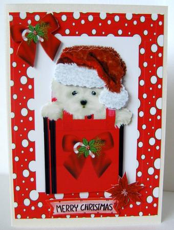 Cute Little Gypsey the Westie by Margaret McCartney