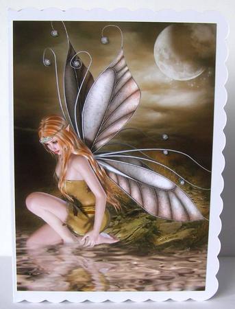 The Lost Fairy A4 by Margaret McCartney