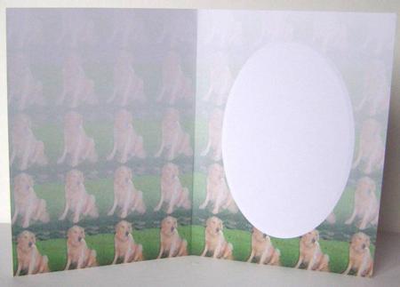Golden Retriever Insert Sheet by Margaret McCartney