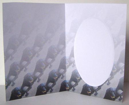 Black Labrador & Ball Insert by Margaret McCartney
